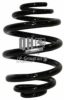 JP GROUP 1152206909 Coil Spring